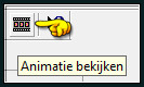 Kijk nu even hoe de animatie loopt door op dit icoontje te klikken