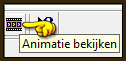 Kijk hoe de animatie loopt door op dit icoontje te klikken