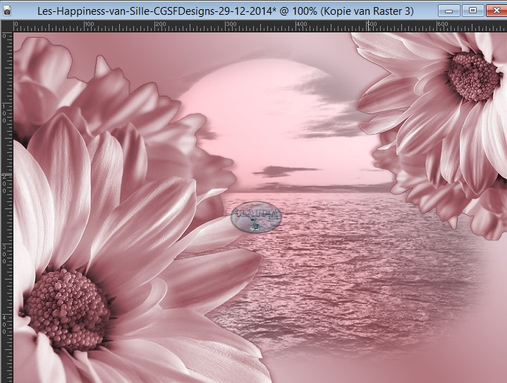 Zo staan de beide bloemen nu