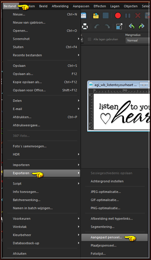 Bestand - Exporteren - Aangepast penseel :