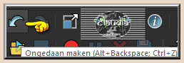 Klik 1 x op het "Ongedaan maken" pijltje