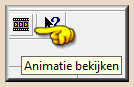 Klik op het icoontje "Animatie bekijken" 