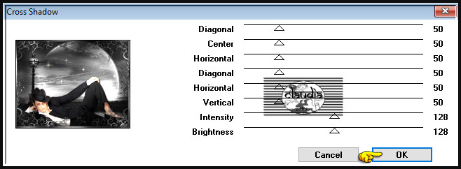 Effecten - Insteekfilters - Graphics Plus - Cross Shadow