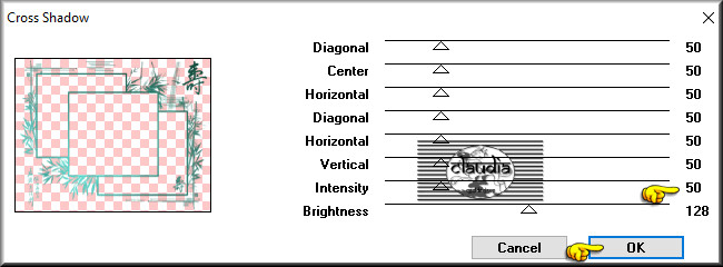 Effecten - Insteekfilters - Graphics Plus - Cross Shadow