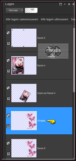 Lagen - Eigenschappen hernoem deze laag "Vlinders"