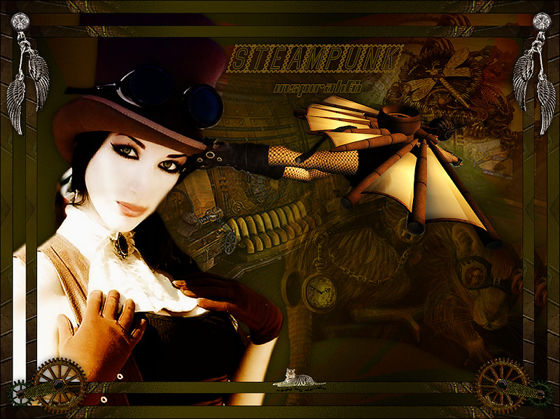 Les : Steampunk Inspirations van Christa