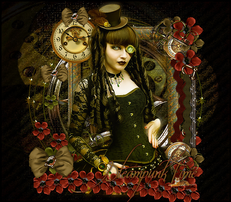 Les : Steampunk Tone van Christa