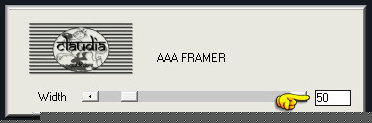 Effecten - Insteekfilters - AAA Filters - AAA Framer : zet Width op 50