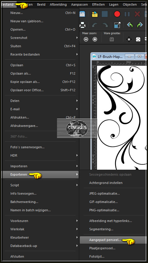 Bestand - Exporteren - Aangepast penseel