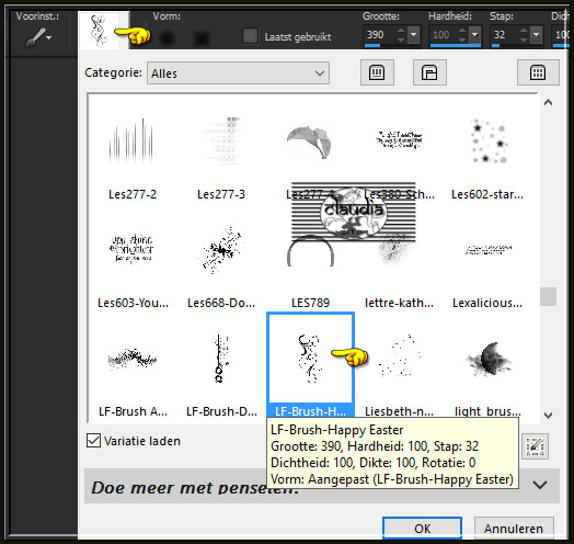 Activeer nu opnieuw het "Penselengereedschap" en zoek de zonet opgeslagen Brushe