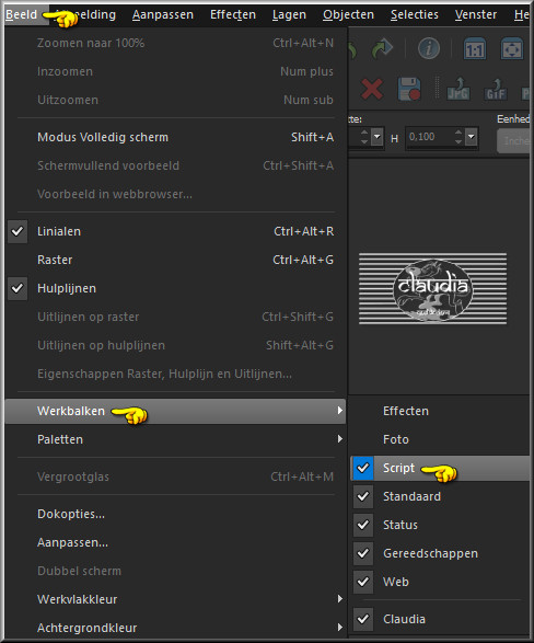 Activeer de Script werkbalk via : Beeld - Werkbalken - Script