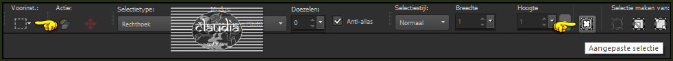 Activeer het Selectiegereedschap (toets S op het toetsenbord) - Aangepaste selectie