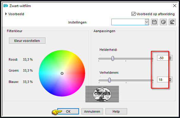 Effecten - Foto-effecten - Zwart-witfilm