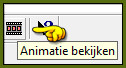 De animatie bekijken doe je door op deze button te klikken