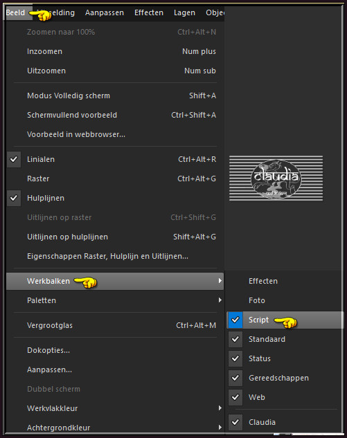 Activeer het Scriptgereedschap en zoek het script "Script-Isa-VSP" en klik op de rode pijl om het script te starten