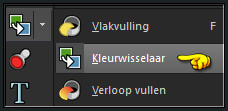 In de nieuwere versies activeer je het Gereedschap "Kleurwisselaar"