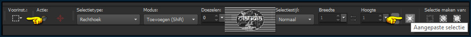 Activeer het Selectiegereedschap (toets S op het toetsenbord) - Aangepaste selectie