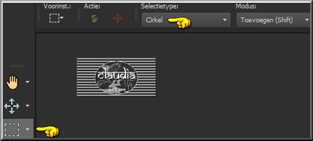 ctiveer nu het selectiegereedschap en zet het "Selectietype" op cirkel