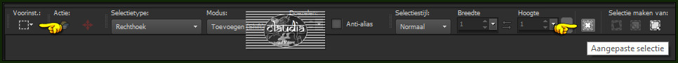 Activeer het Selectiegereedschap (toets S op het toetsenbord) - Aangepaste selectie