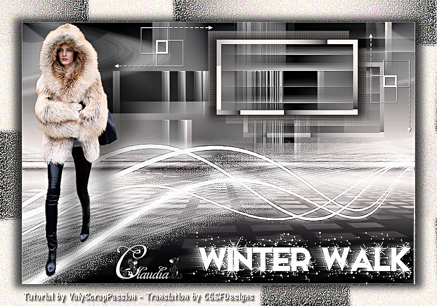 Les : Winter Walk van Valerie