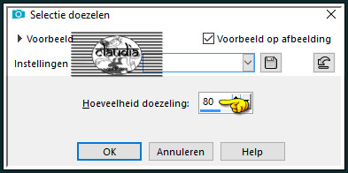 Selecties - Wijzigen - Selectie Doezelen