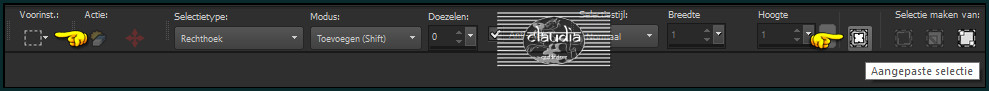 Activeer het Selectiegereedschap (toets S op het toetsenbord) - Aangepaste selectie