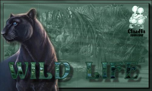 Titel Les 44 : Wild Life