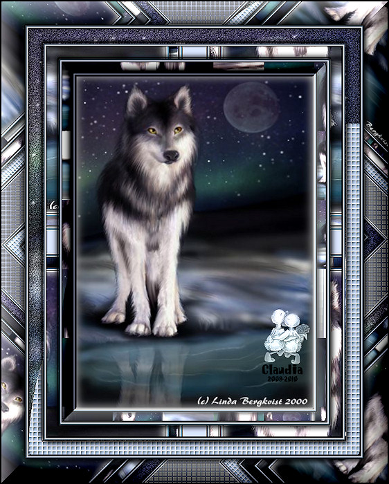 Les 49 : Wolf Frame