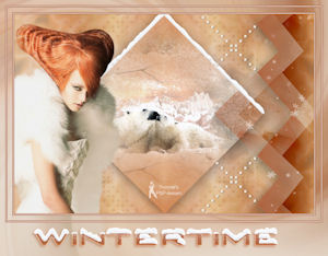 Les : Wintertime van Yvonne